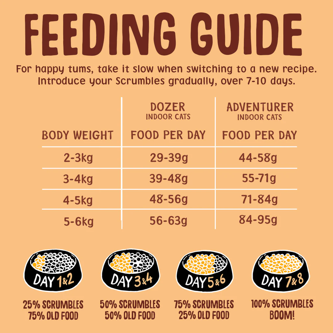 Chicken Dry Cat Food - Image 7