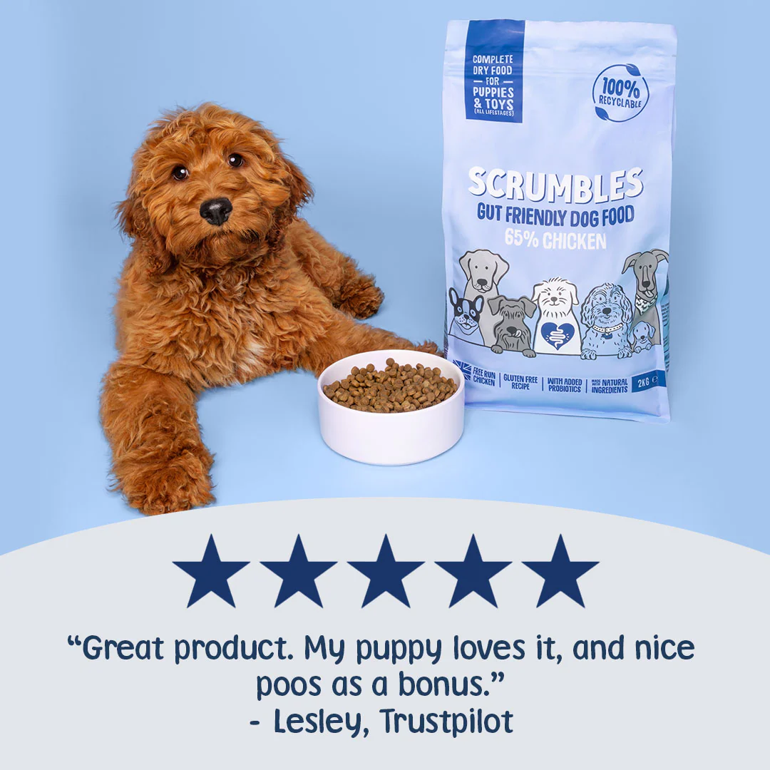Chicken Dry Puppy Food - Image 3