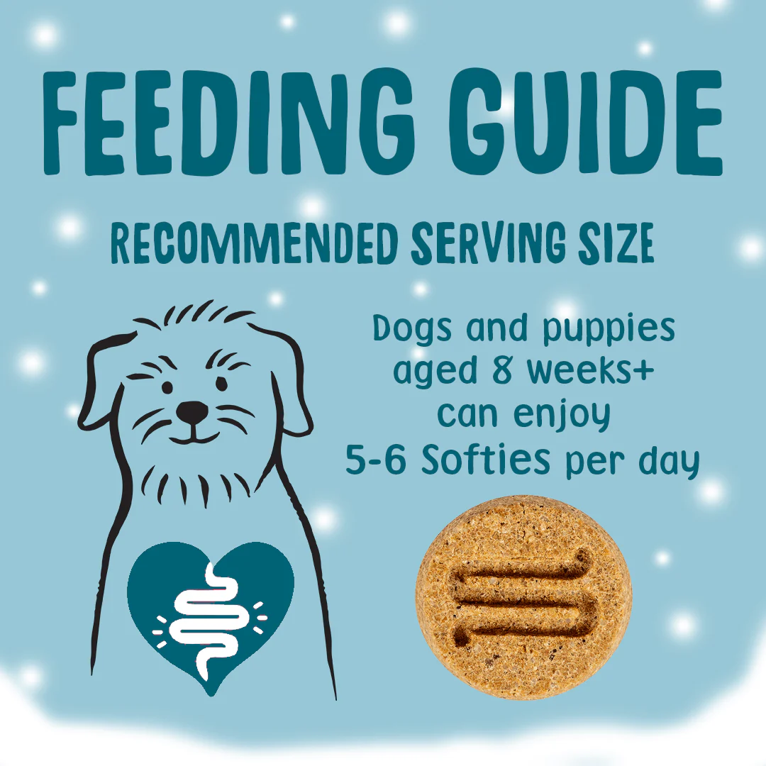 Christmas Dog Treats Turkey Softies - Image 7