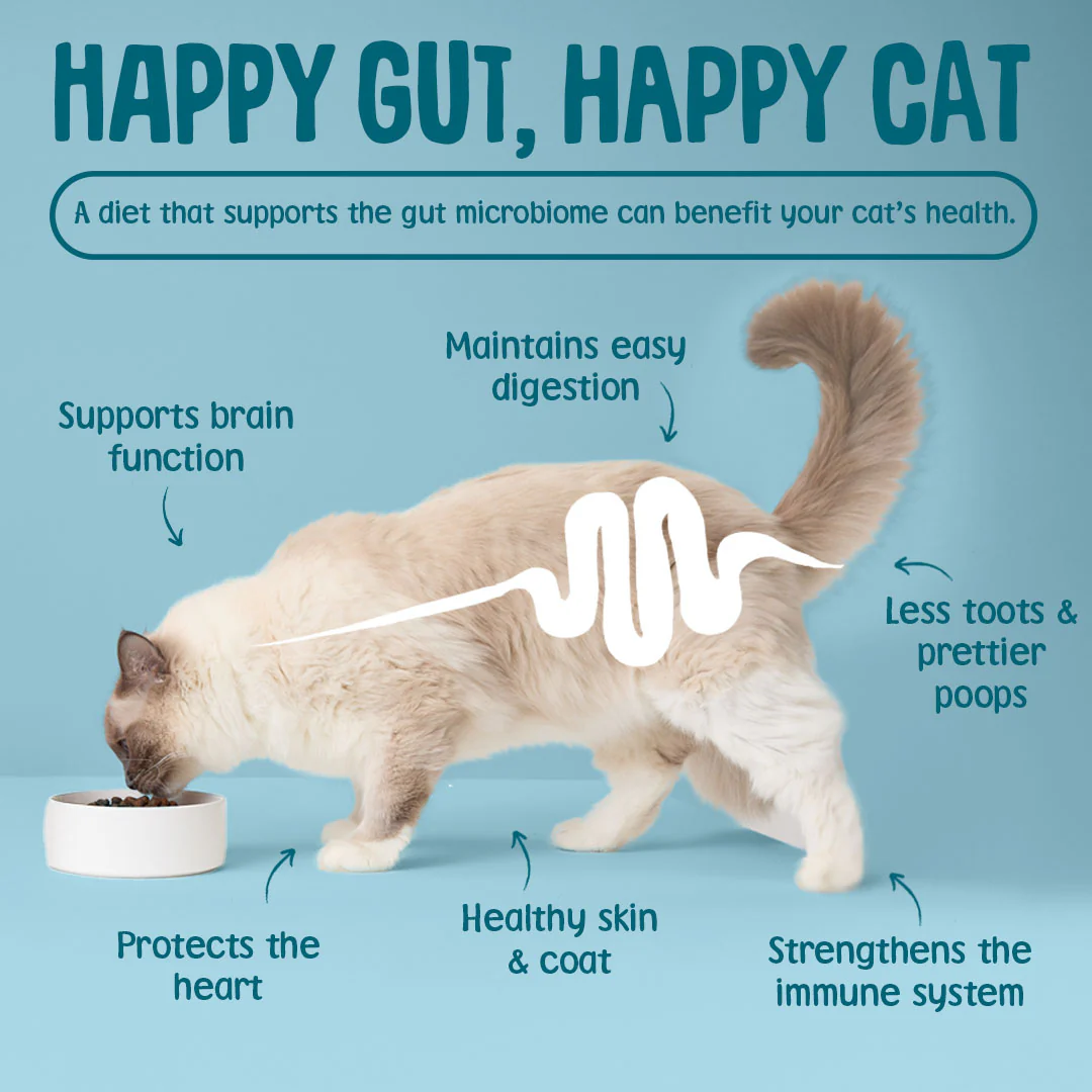 Grain Free Fish in Gravy Cat Food Pouches - Image 5