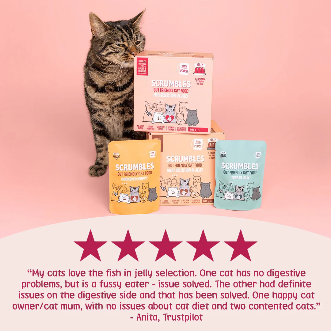 Fish in Jelly Cat Food Pouches - Image 3
