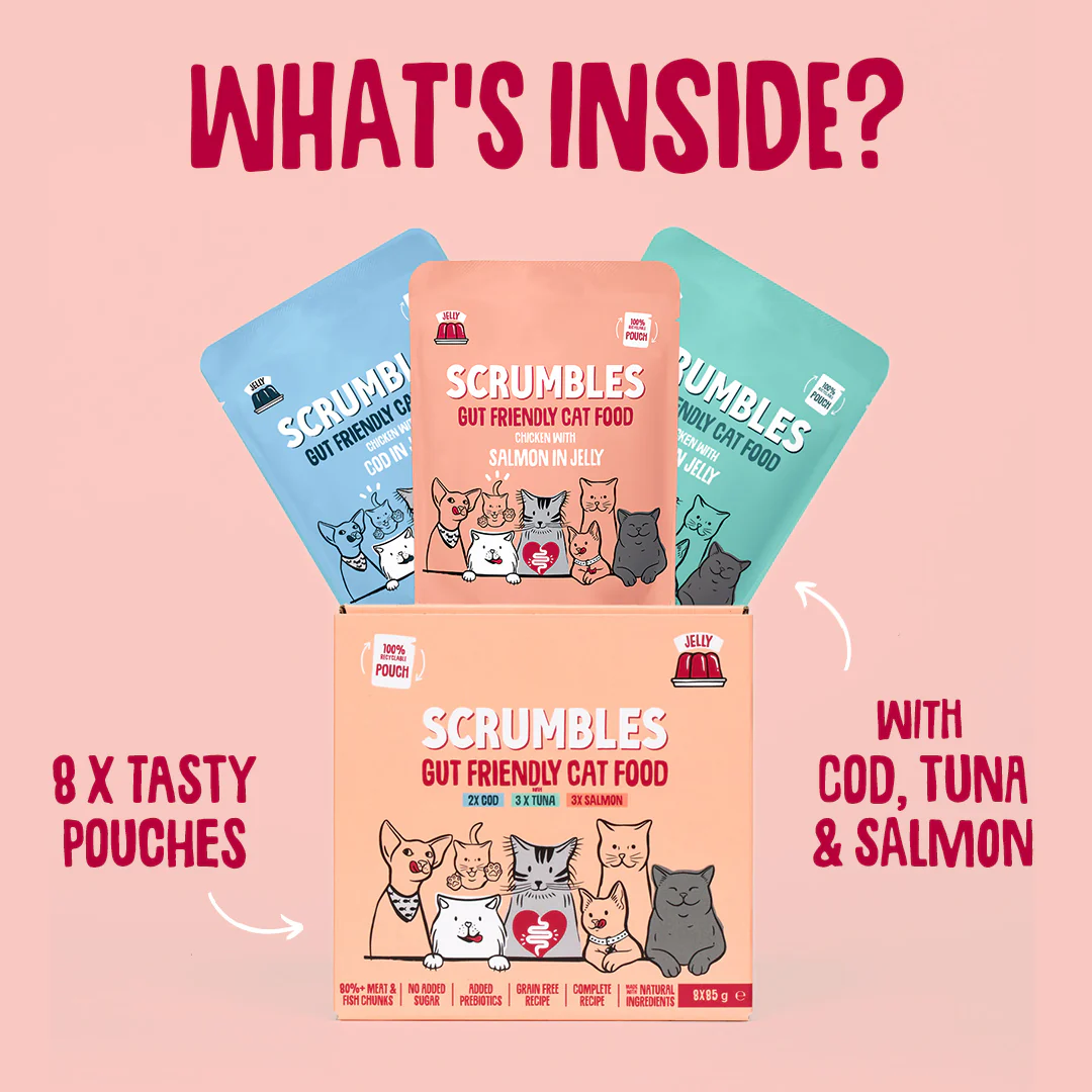Fish in Jelly Cat Food Pouches - Image 6