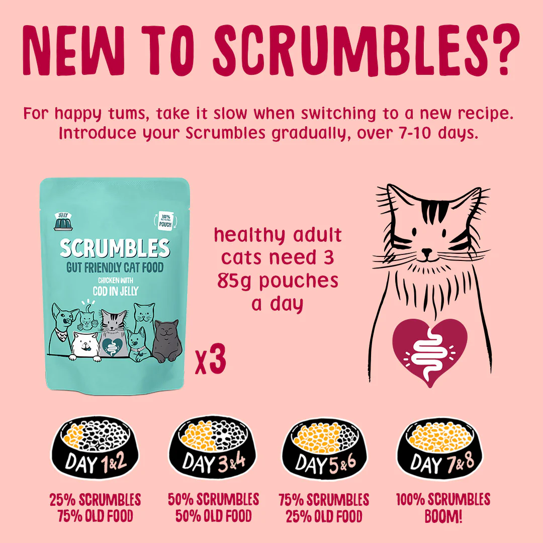 Fish in Jelly Cat Food Pouches - Image 8