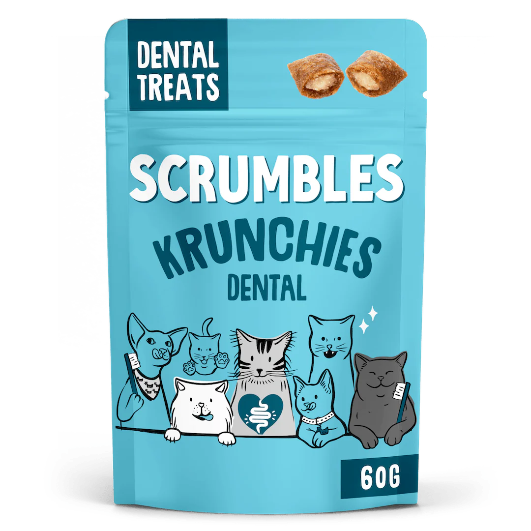 Kitten Food