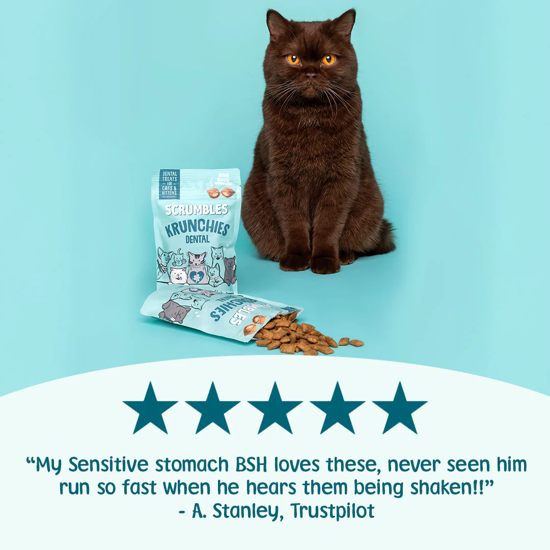 Krunchies: Cat Dental Treats - Image 3