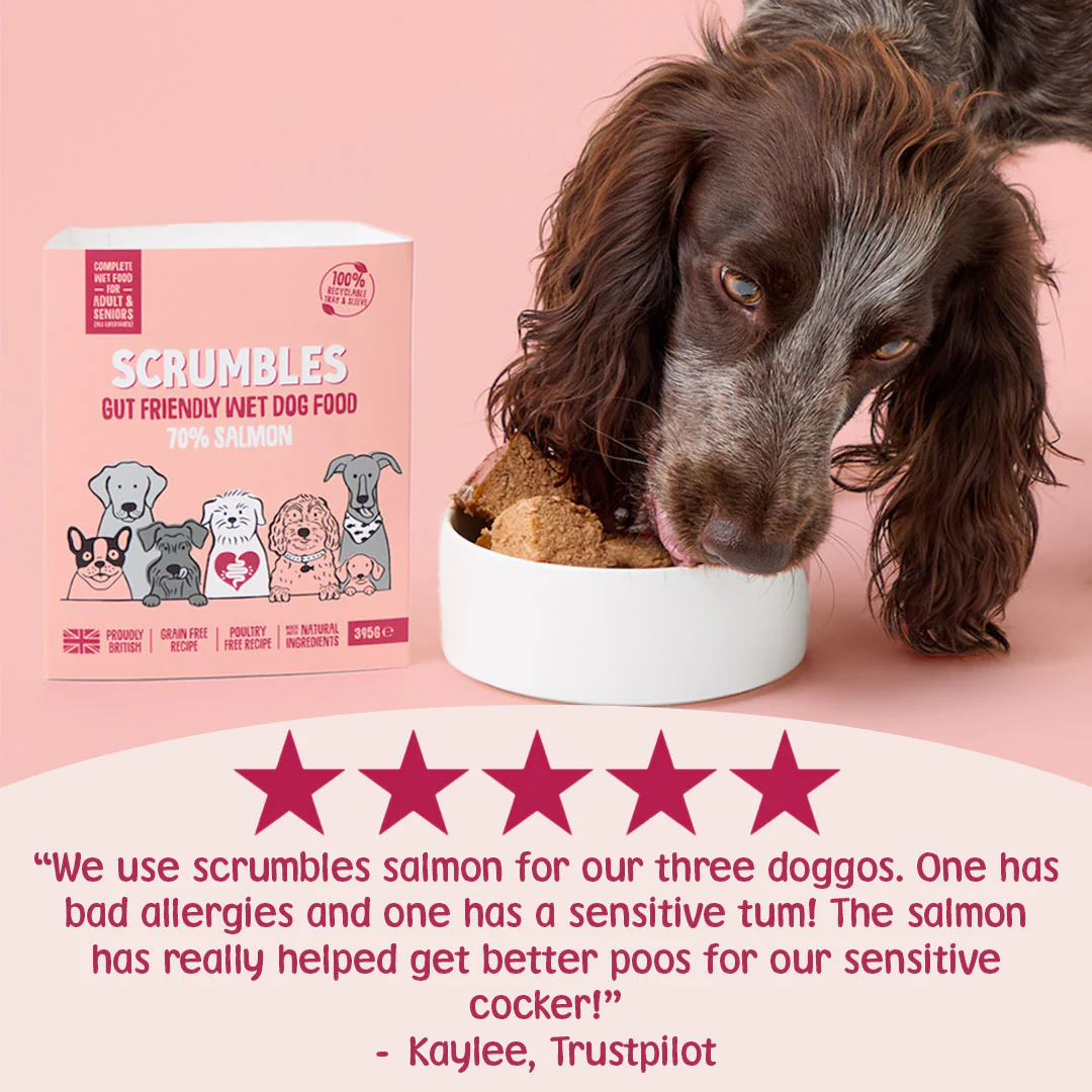 Grain Free Salmon Wet Dog Food (395g) - Image 3