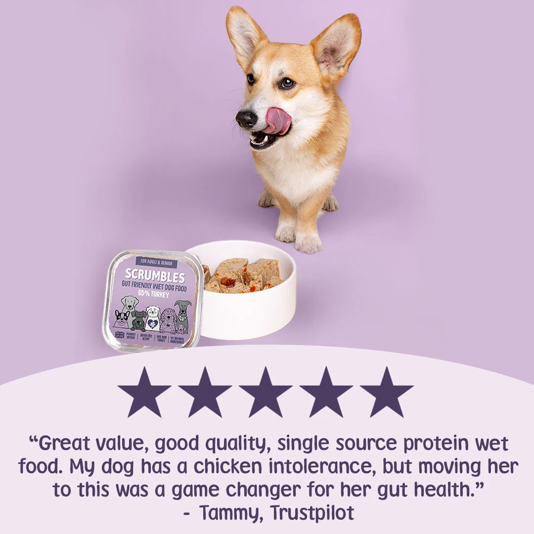Turkey Wet Dog Food 150g - Image 3