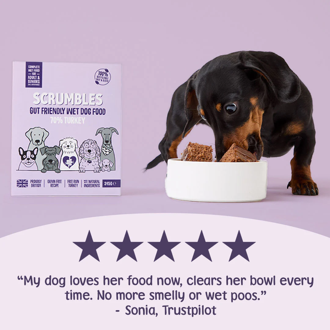 Grain Free Turkey Wet Dog Food (395g) - Image 3