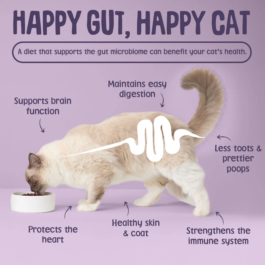 Krunchies Cat Treats Multipack - Image 7