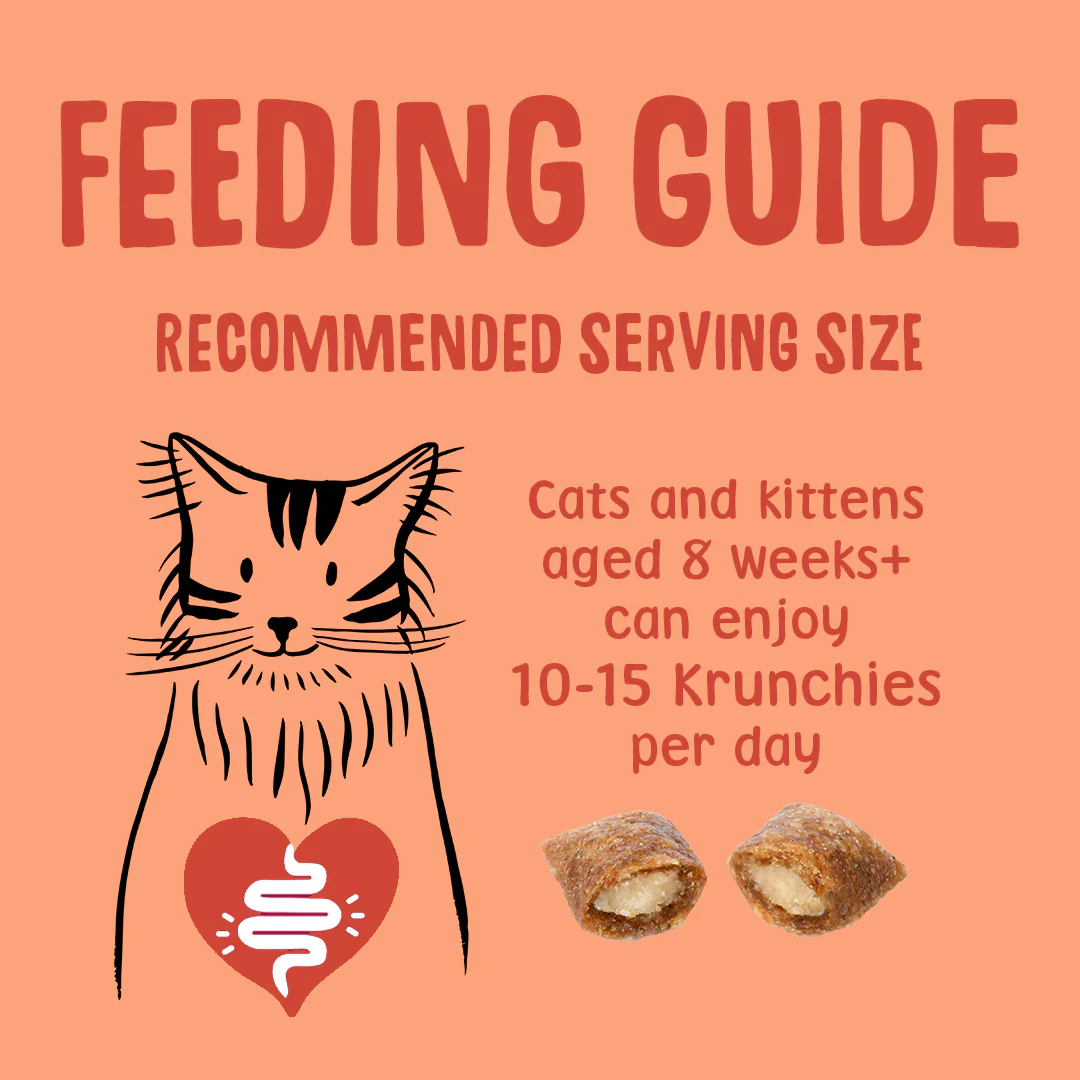 Krunchies: Chicken Pillow Cat Treats - Image 7