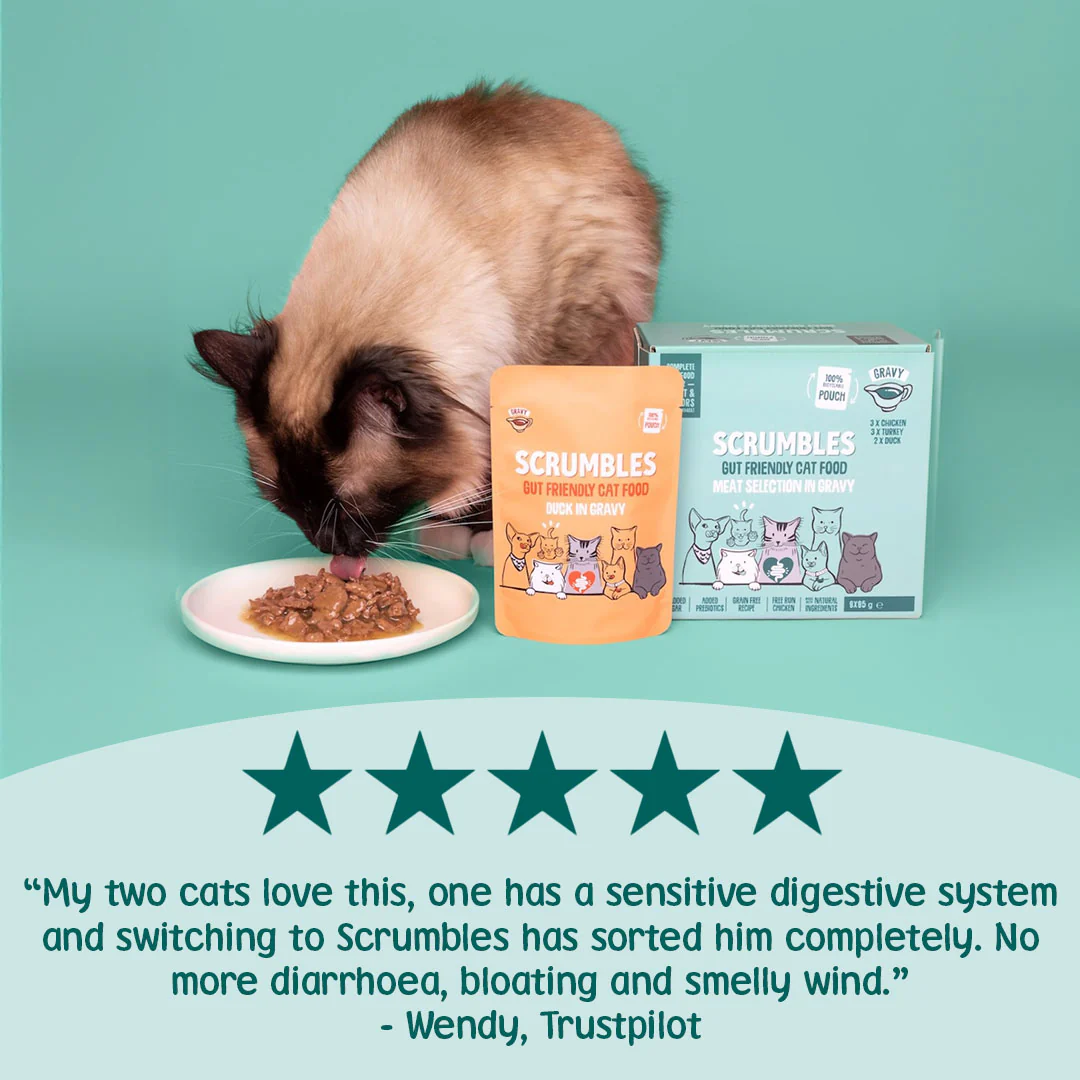 Grain Free Gravy Cat Food Pouches - Image 3