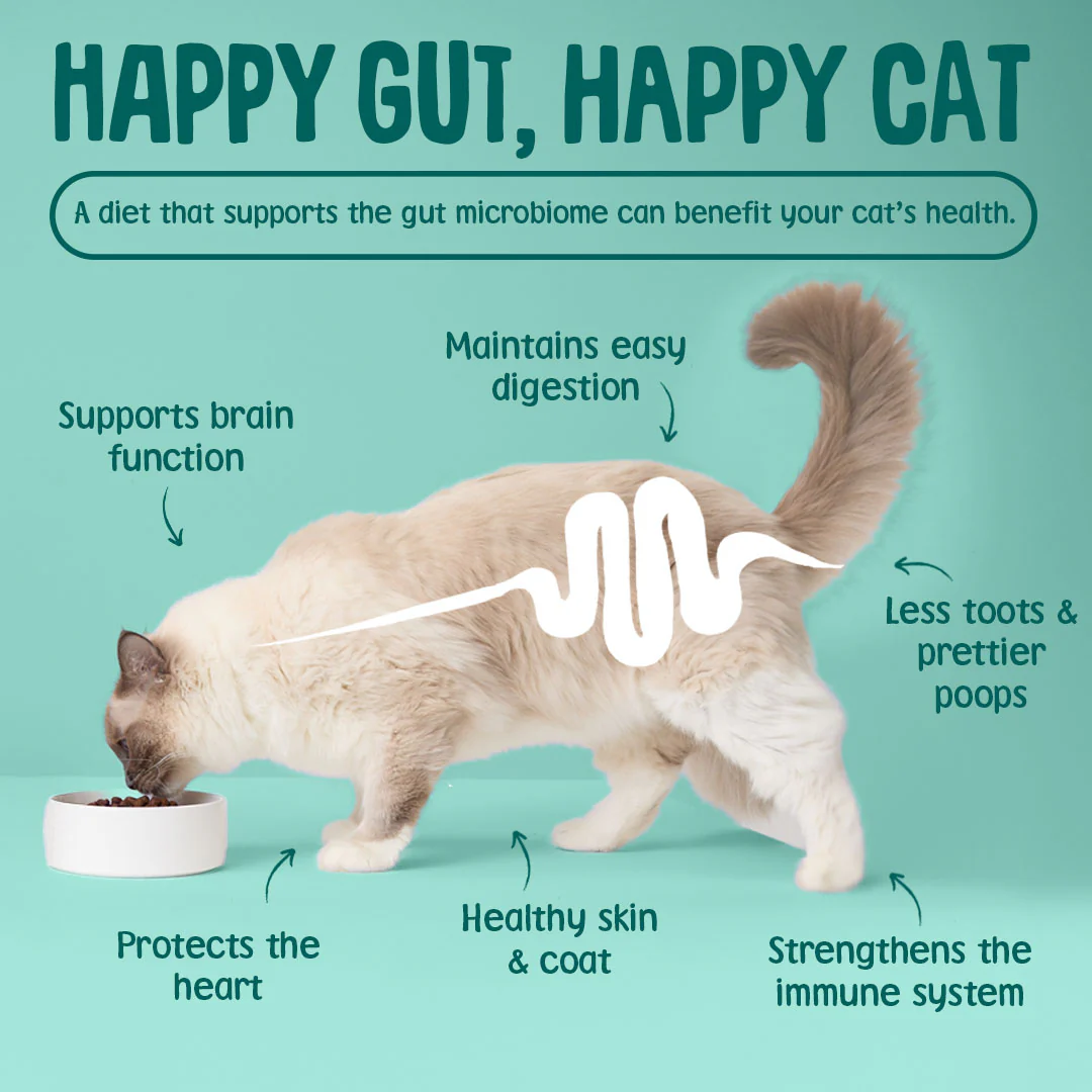 Grain Free Gravy Cat Food Pouches - Image 7