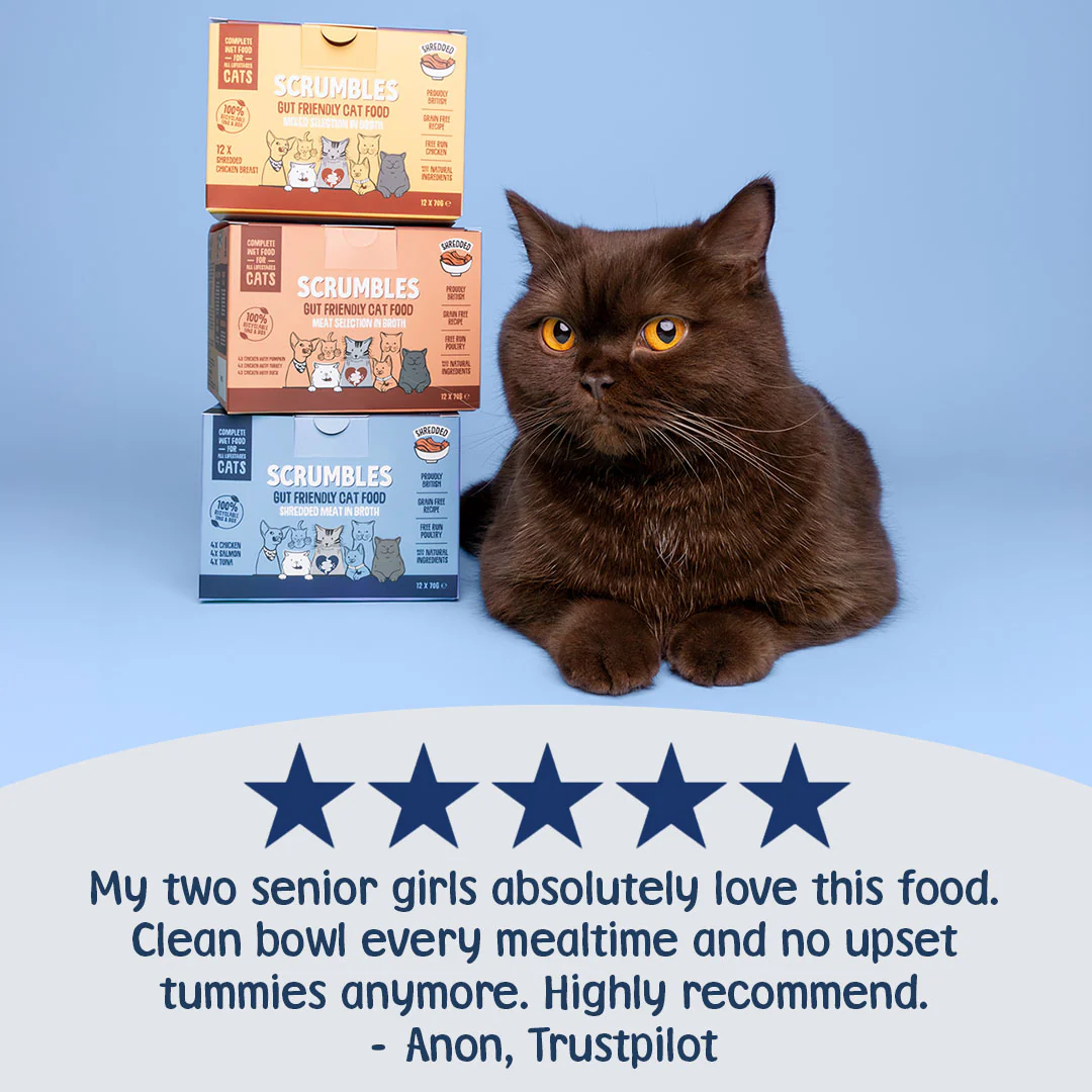 Shredded Chicken & Fish Wet Cat Food in Broth Tins - Image 3