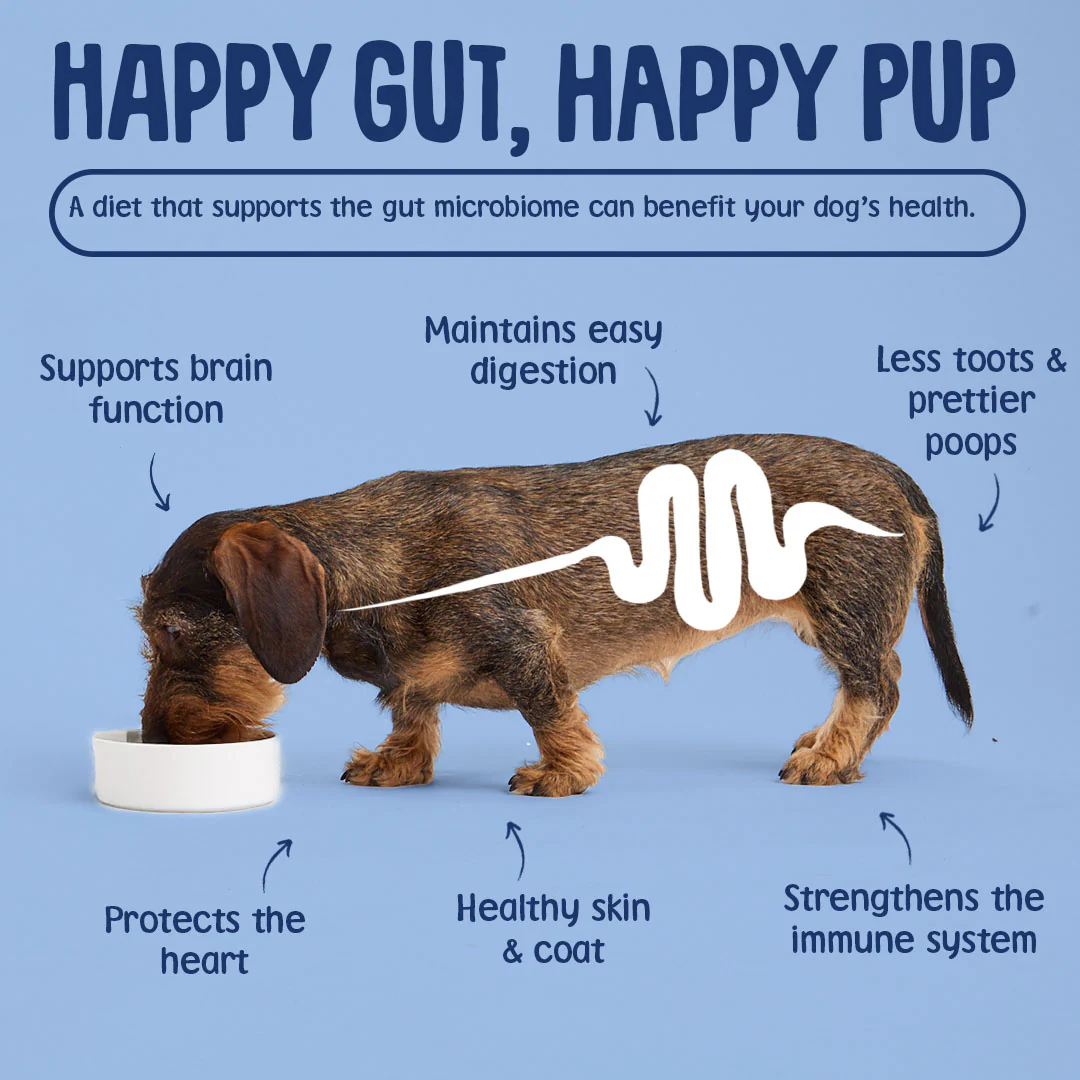 Postbiotic Nibbles Dog Treats - Image 6