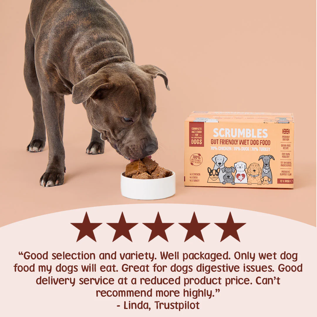 Poultry Wet Dog Food Selection (395g) - Image 3