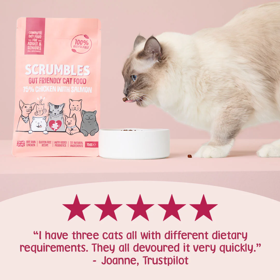 Salmon Dry Cat Food - Image 3