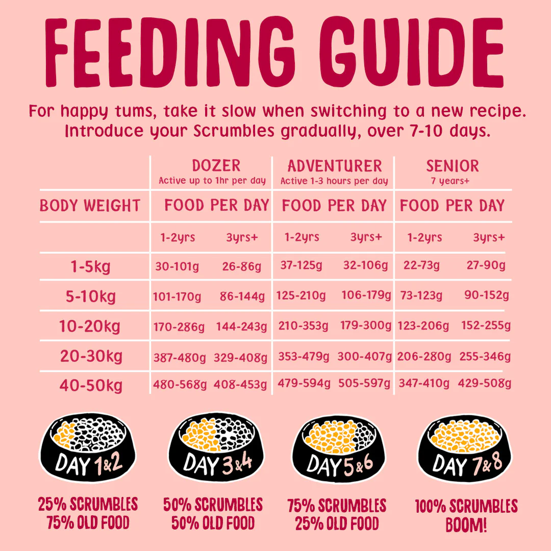 Salmon Dry Dog Food - Image 7