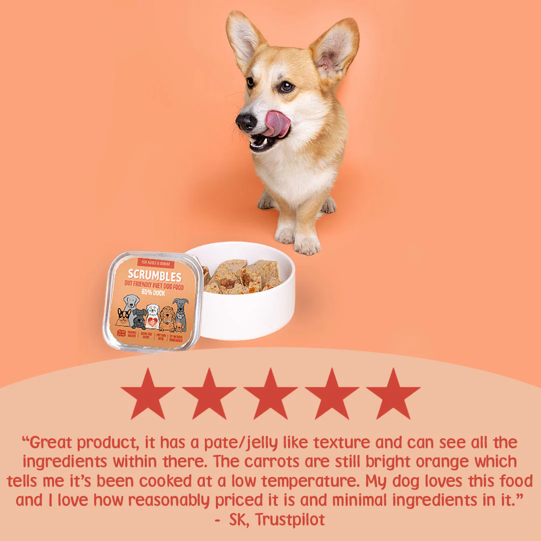 Duck Wet Dog Food 150g - Image 3
