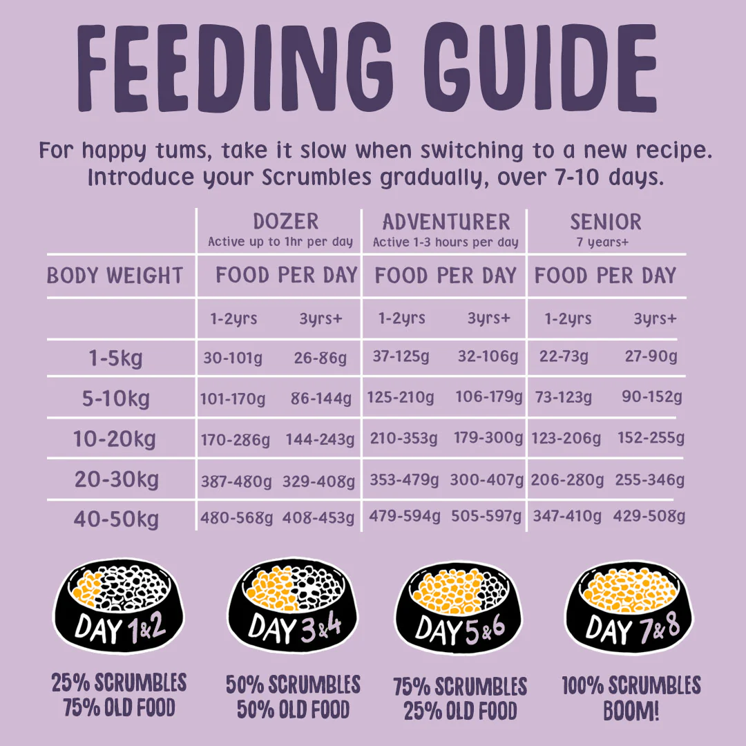 Turkey Dry Dog Food - Image 7