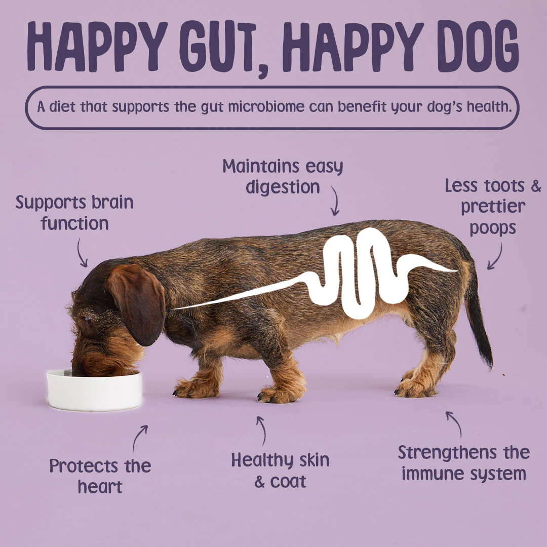 Turkey Dry Dog Food - Image 8