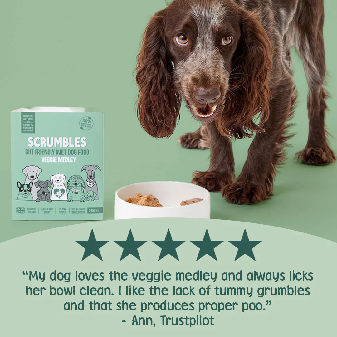 Grain Free Wet Veg Dog Food (395g) - Image 3