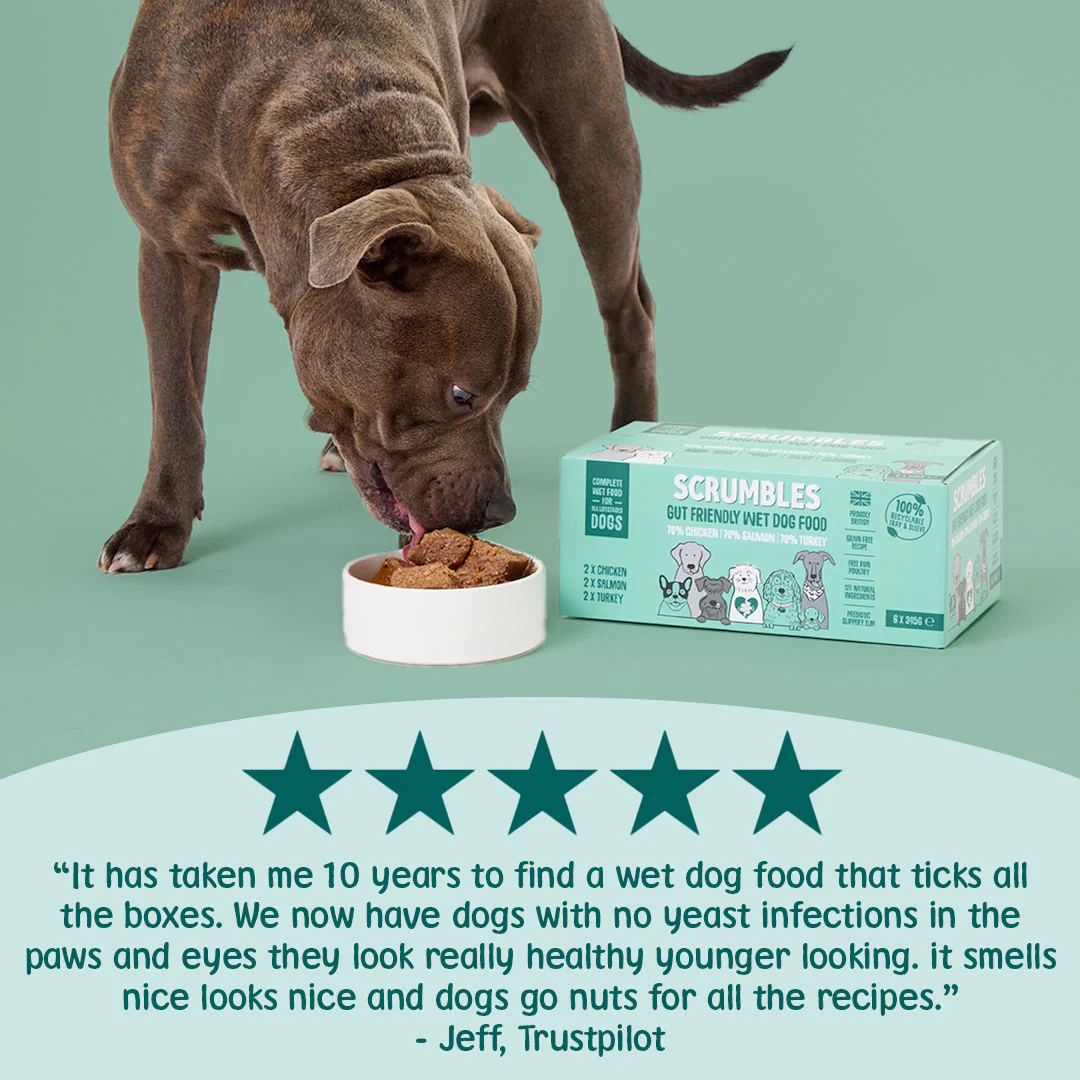 Meat and Fish Wet Dog Food Selection (395g) - Image 3